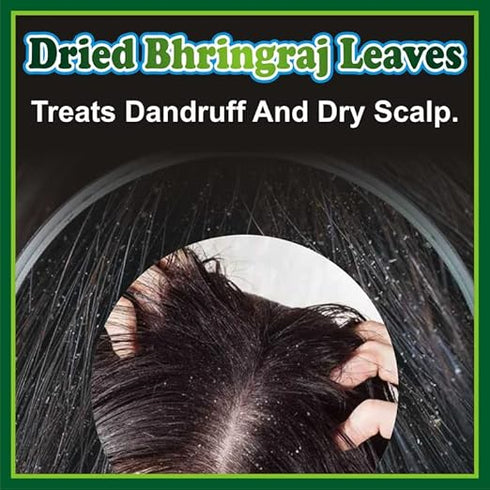 Jioo Organics Bhringraj Dry Leaves and Dry Brahmi Leaves